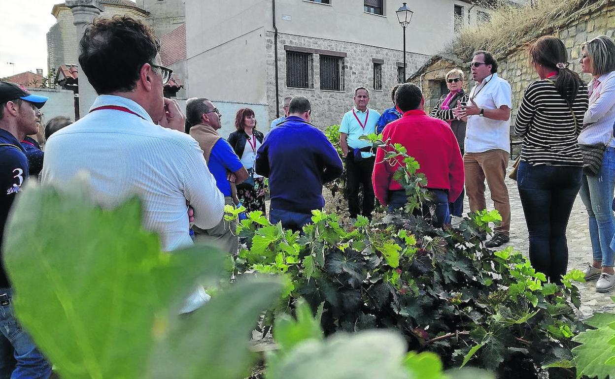 Uno de los guías explica a los visitantes, en una anterior edición, el proceso de recogida de uva y su transformación en vino.