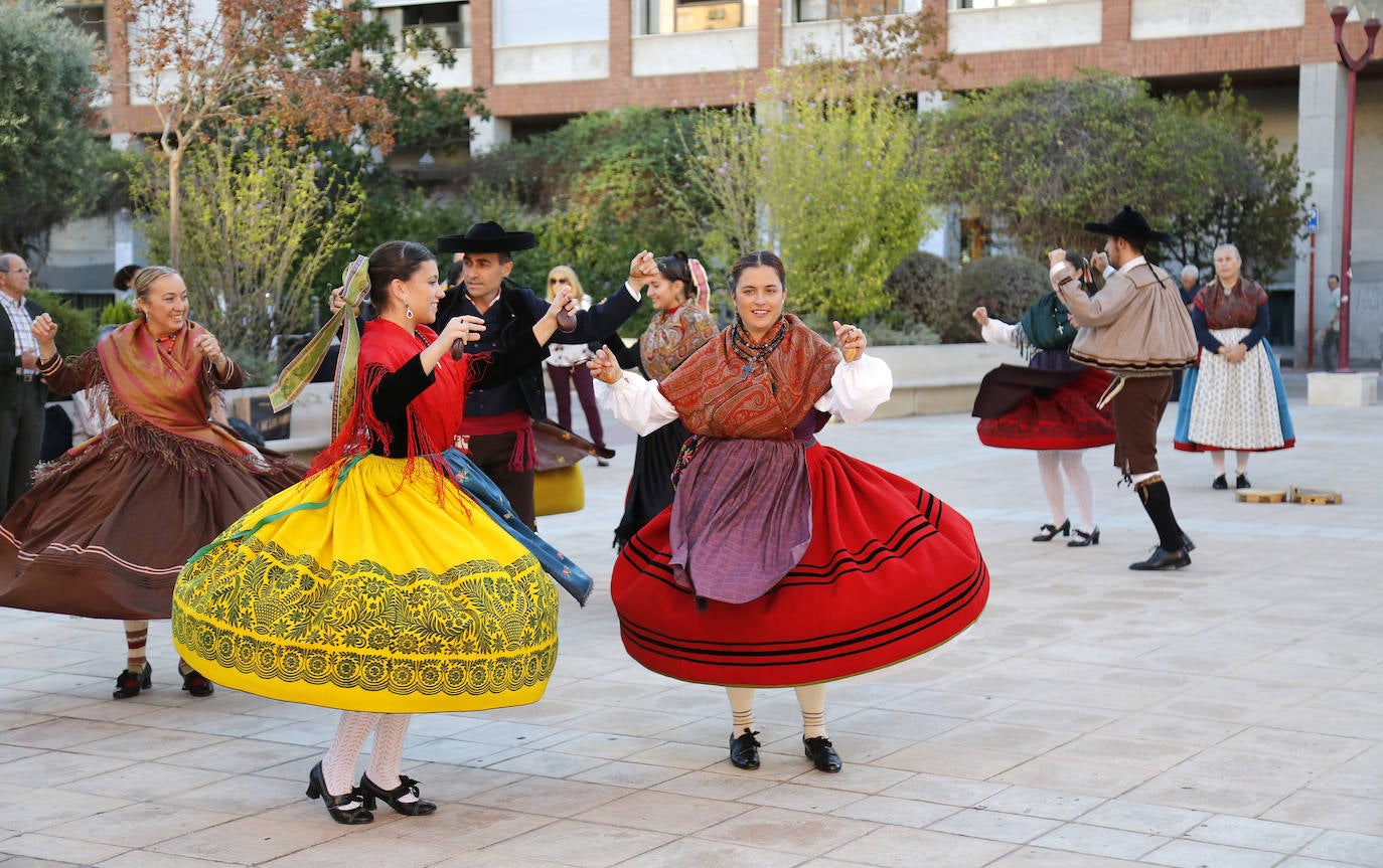 Fotos: XXXV día de la provincia de Palencia