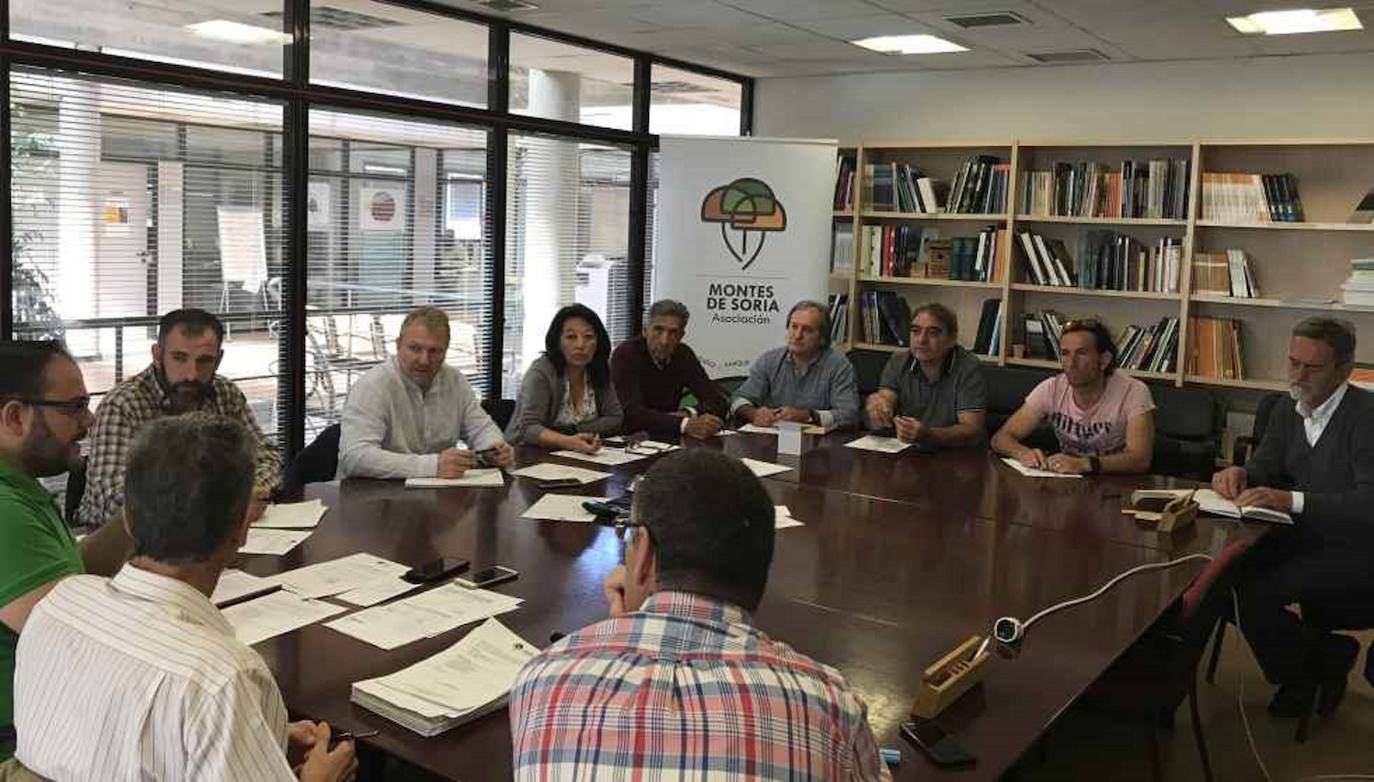 Asamblea Montes de Soria.