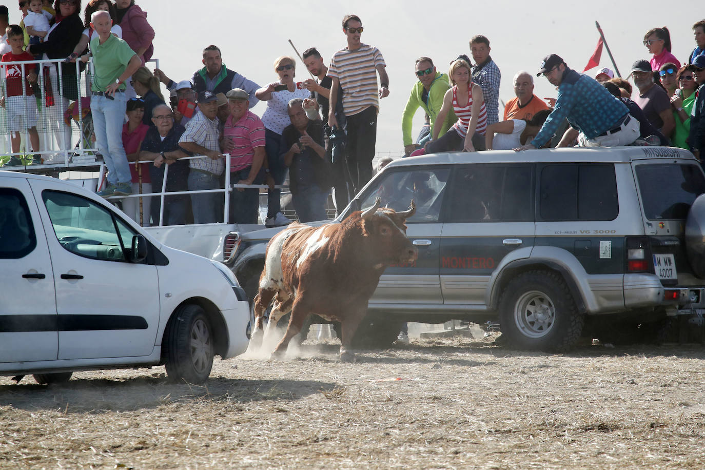 El encierro de Mojados de este mañana. 