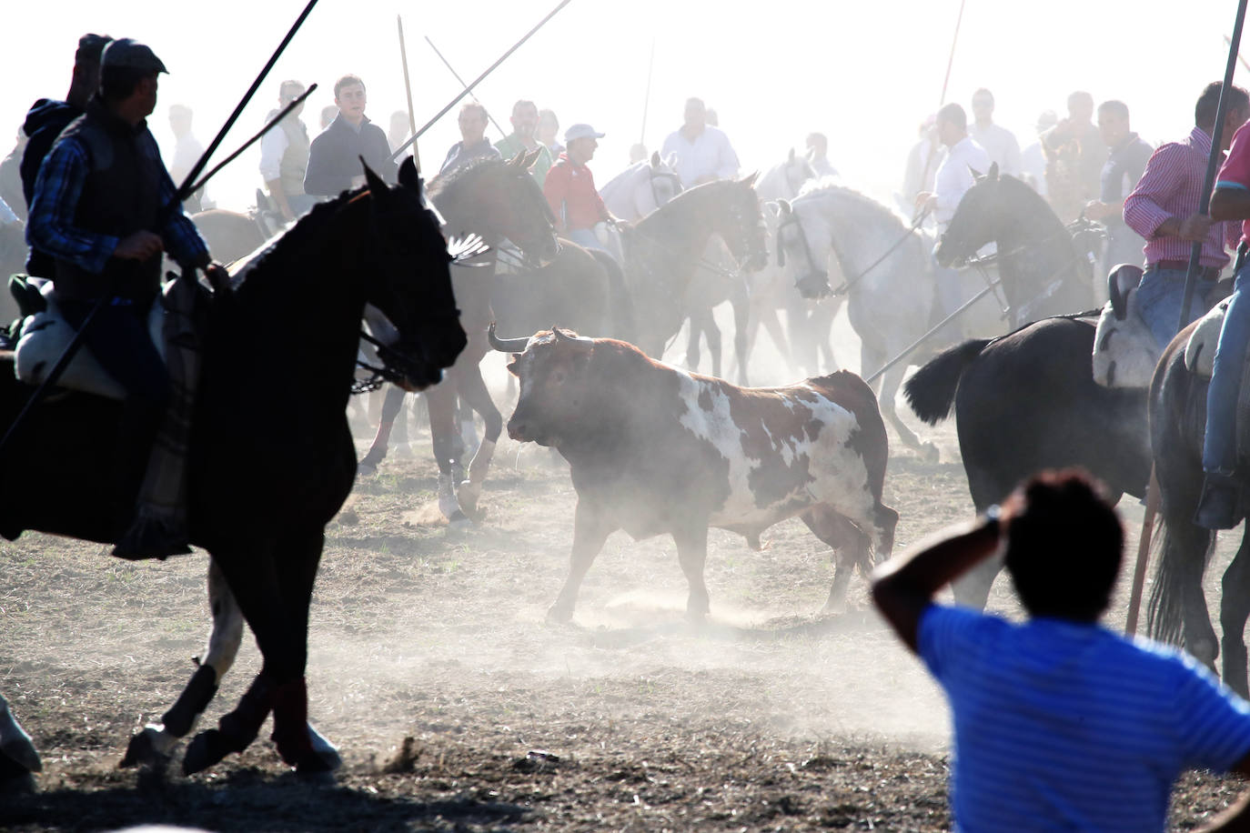 El encierro de Mojados de este mañana. 