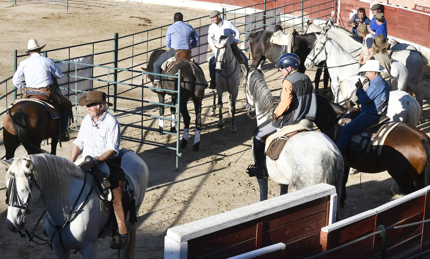 Fotos: Feria del caballo en El Espinar