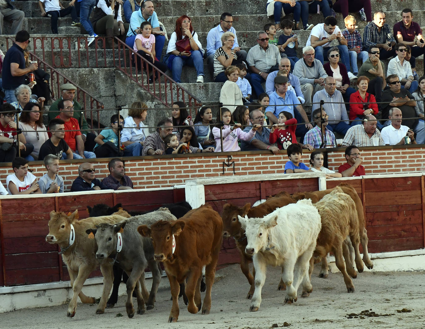 Fotos: Feria del caballo en El Espinar