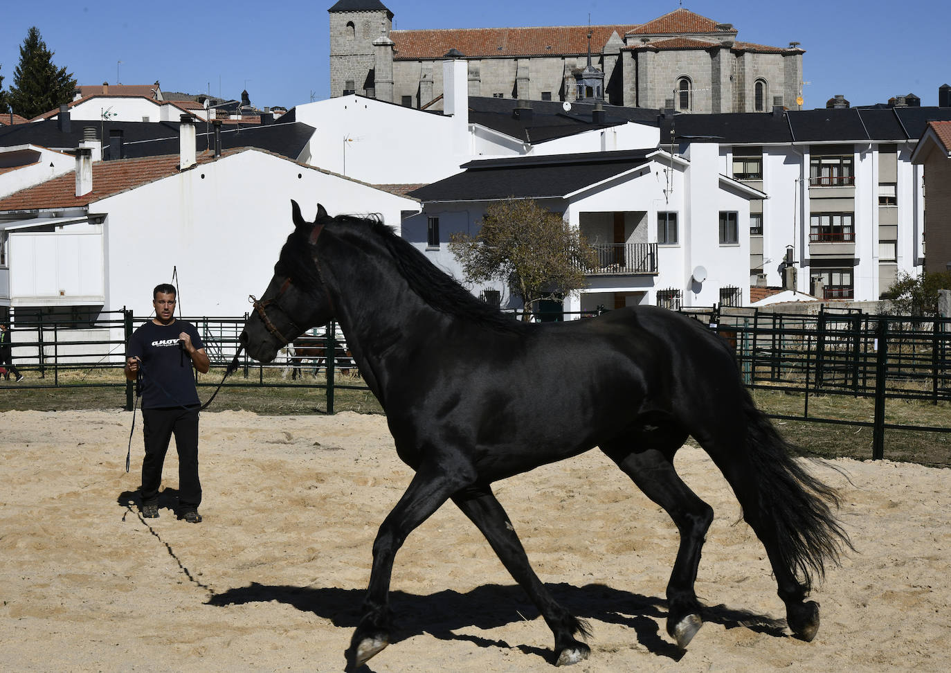 Fotos: Feria del caballo en El Espinar