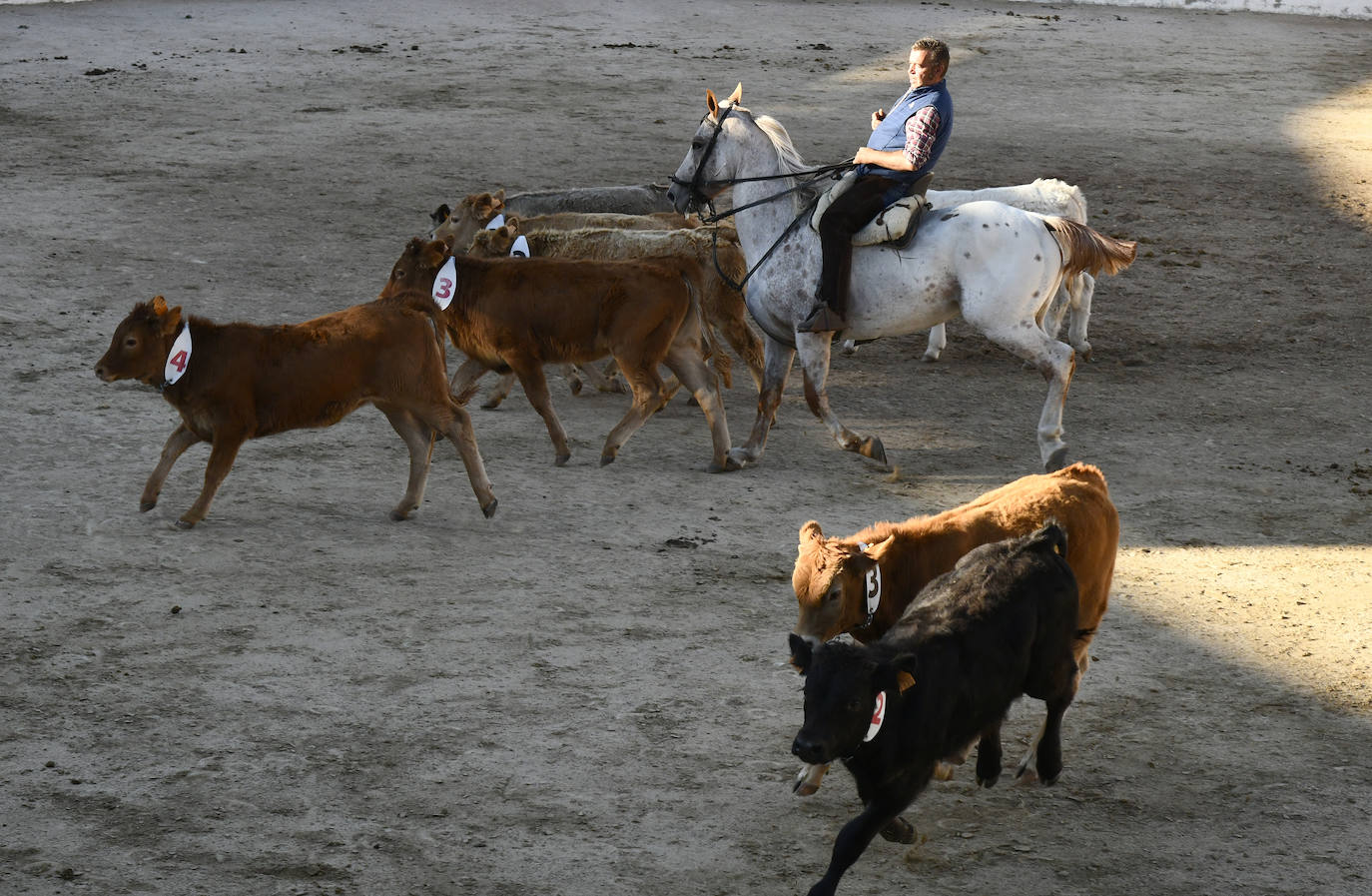 Fotos: Feria del caballo en El Espinar