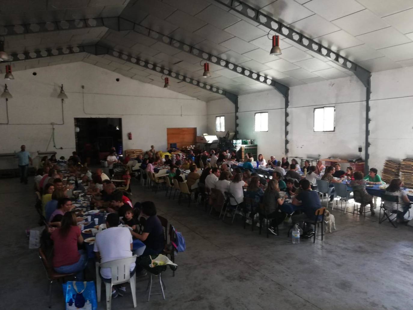 Animado recorrido por las bodegas de Madroñal. 