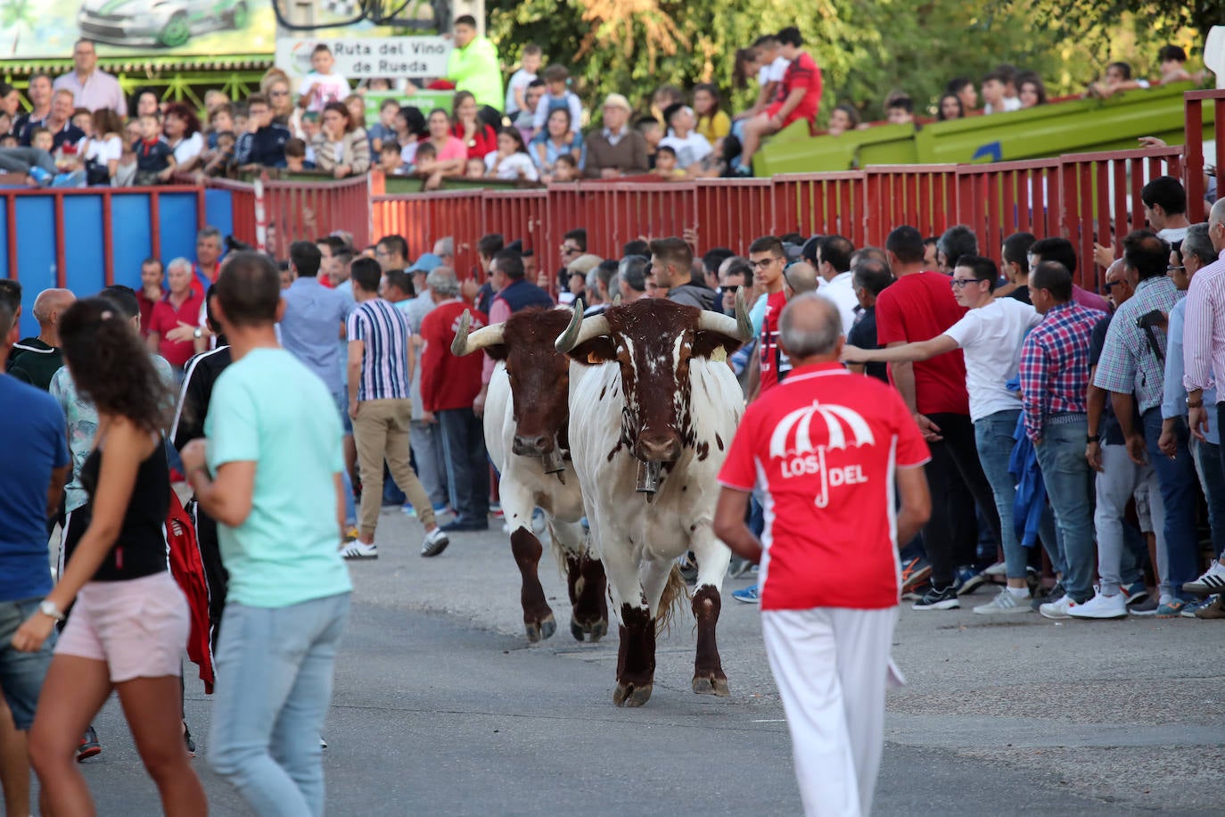 Festejo del Toro del Verdejo de Rueda. 