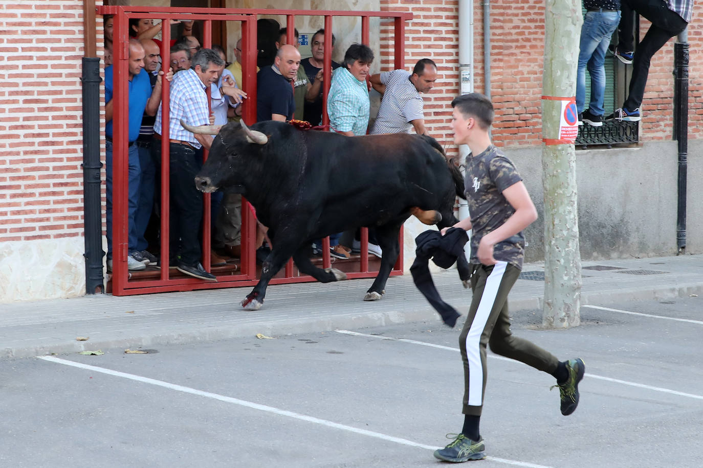 Festejo del Toro del Verdejo de Rueda. 