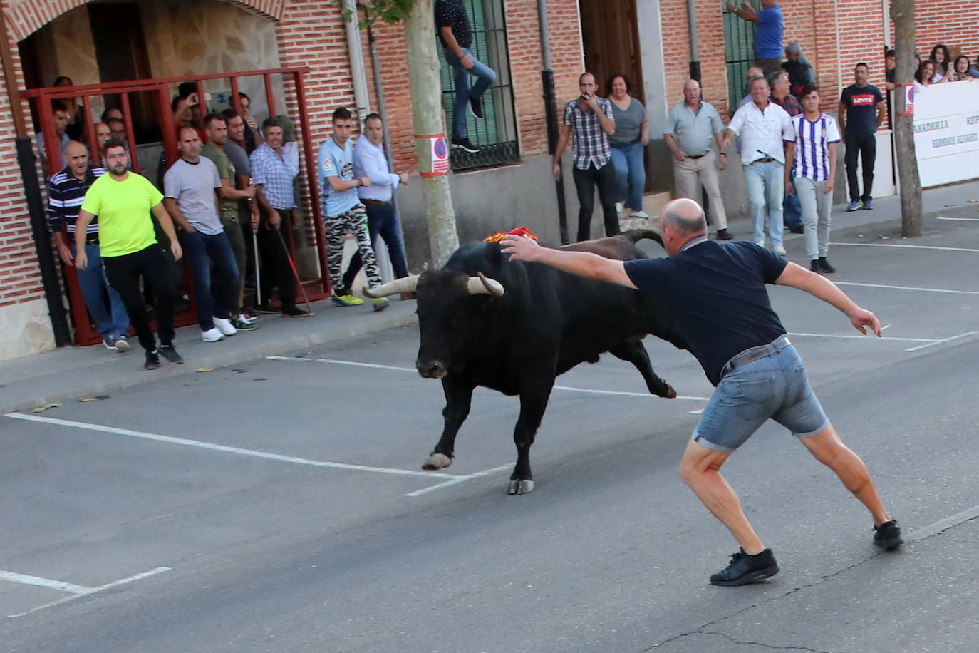 Festejo del Toro del Verdejo de Rueda. 