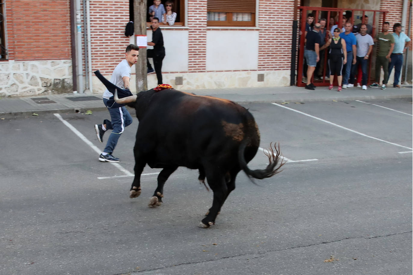 Festejo del Toro del Verdejo de Rueda. 