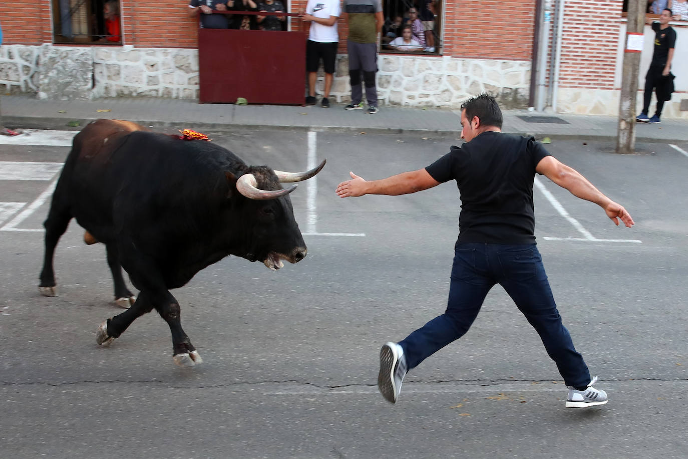 Festejo del Toro del Verdejo de Rueda. 
