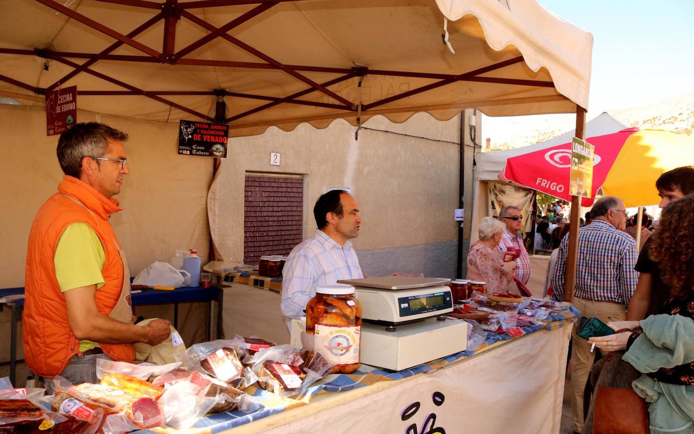 Feria de la Cebolla en Palenzuela. 