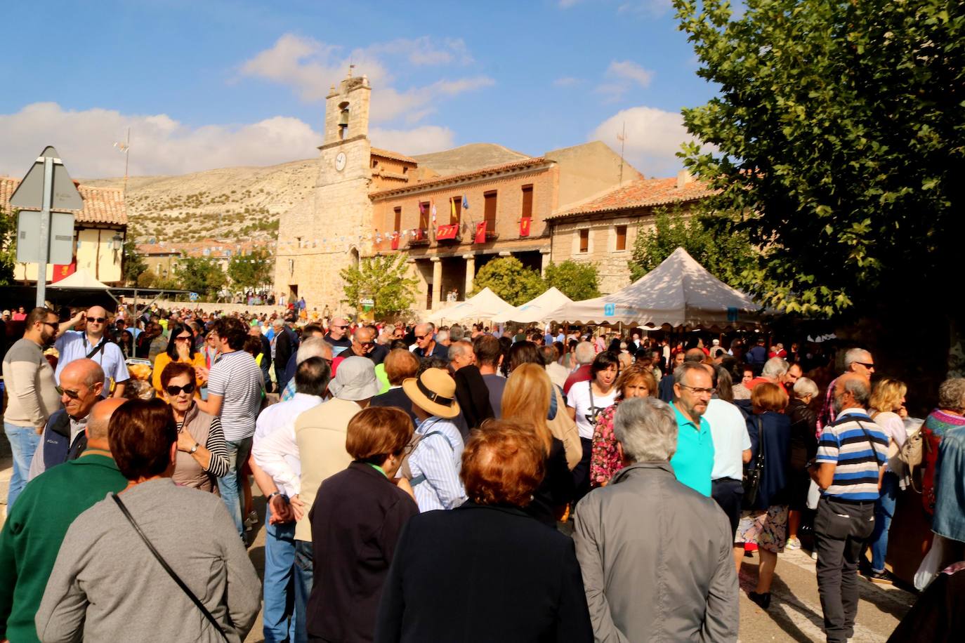 Feria de la Cebolla en Palenzuela. 