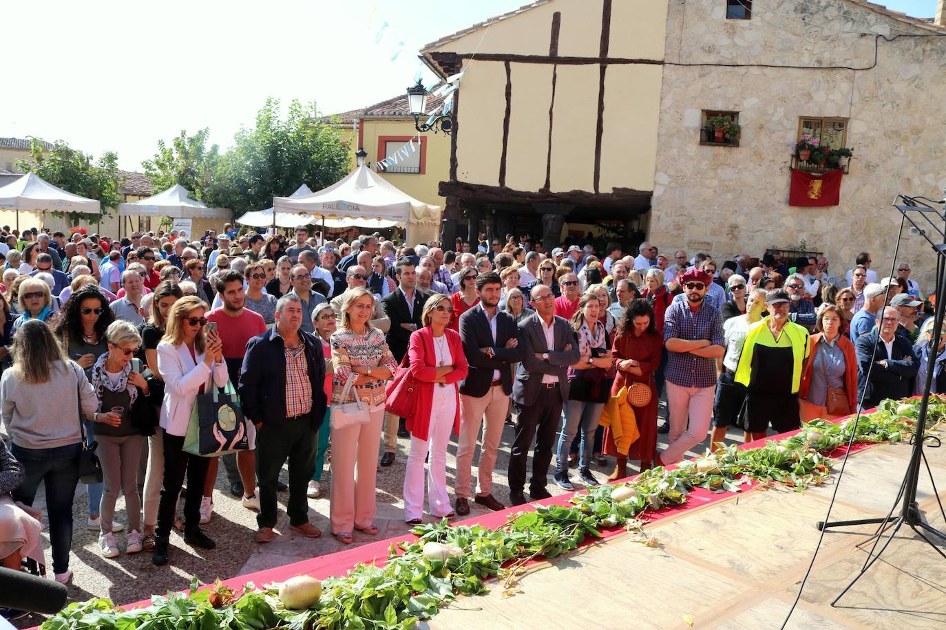 Feria de la Cebolla en Palenzuela. 