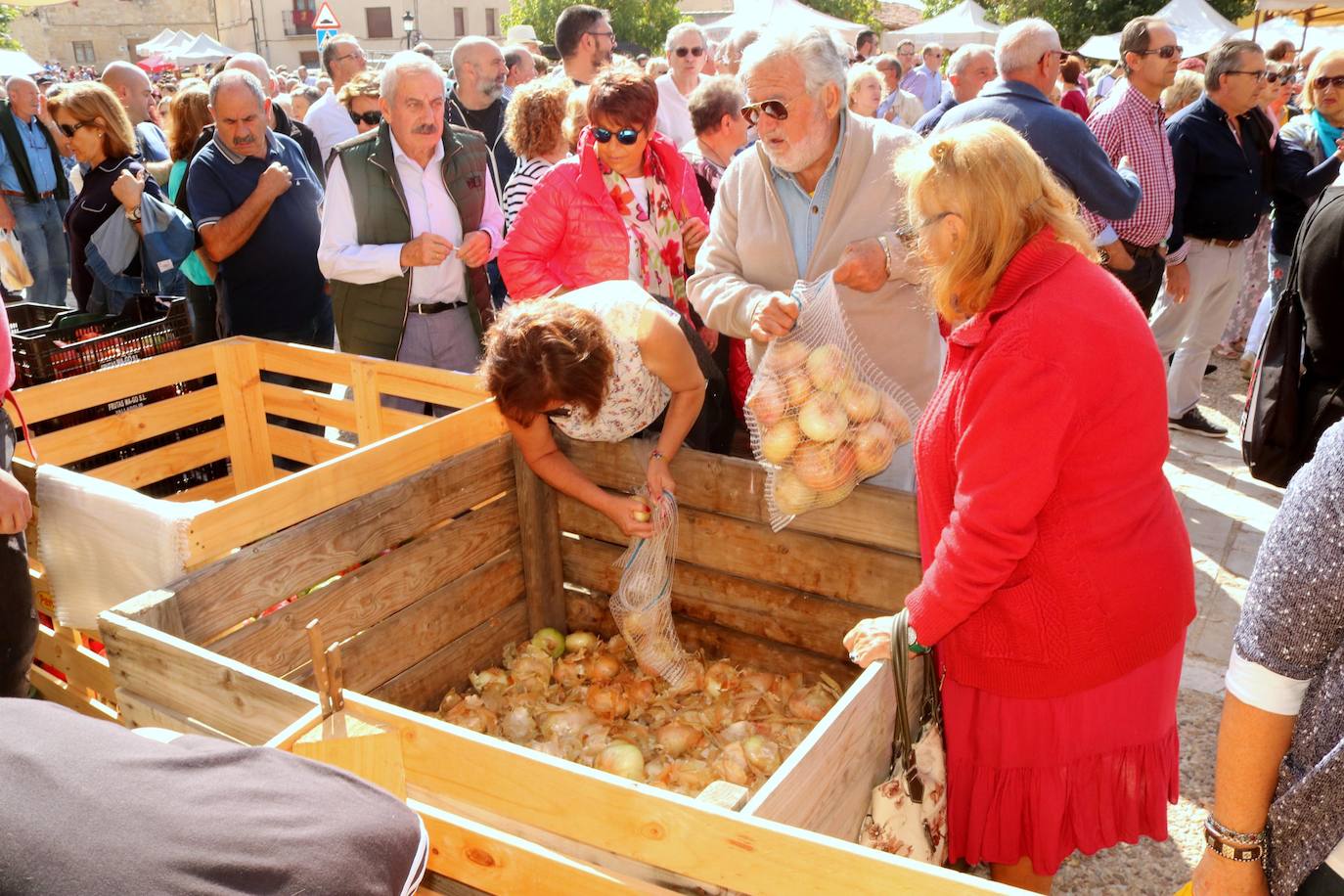 Feria de la Cebolla en Palenzuela. 