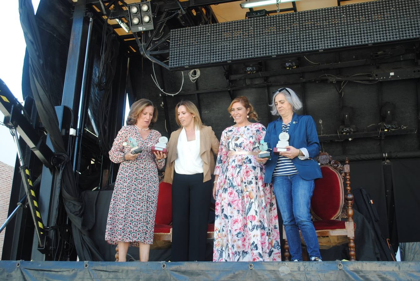 La encargada de realizar el pregón fue la redactora de El Norte de Castilla, Nieves Caballero