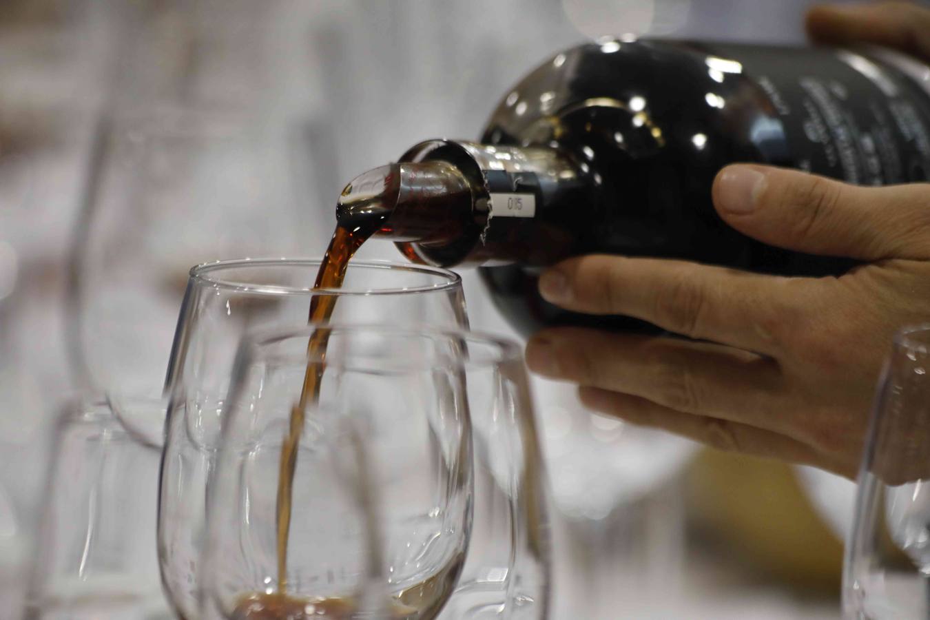 Fotos: Cuartas Jornadas Técnicas Internacionales de Sumillería en el Museo del Vino de Peñafiel