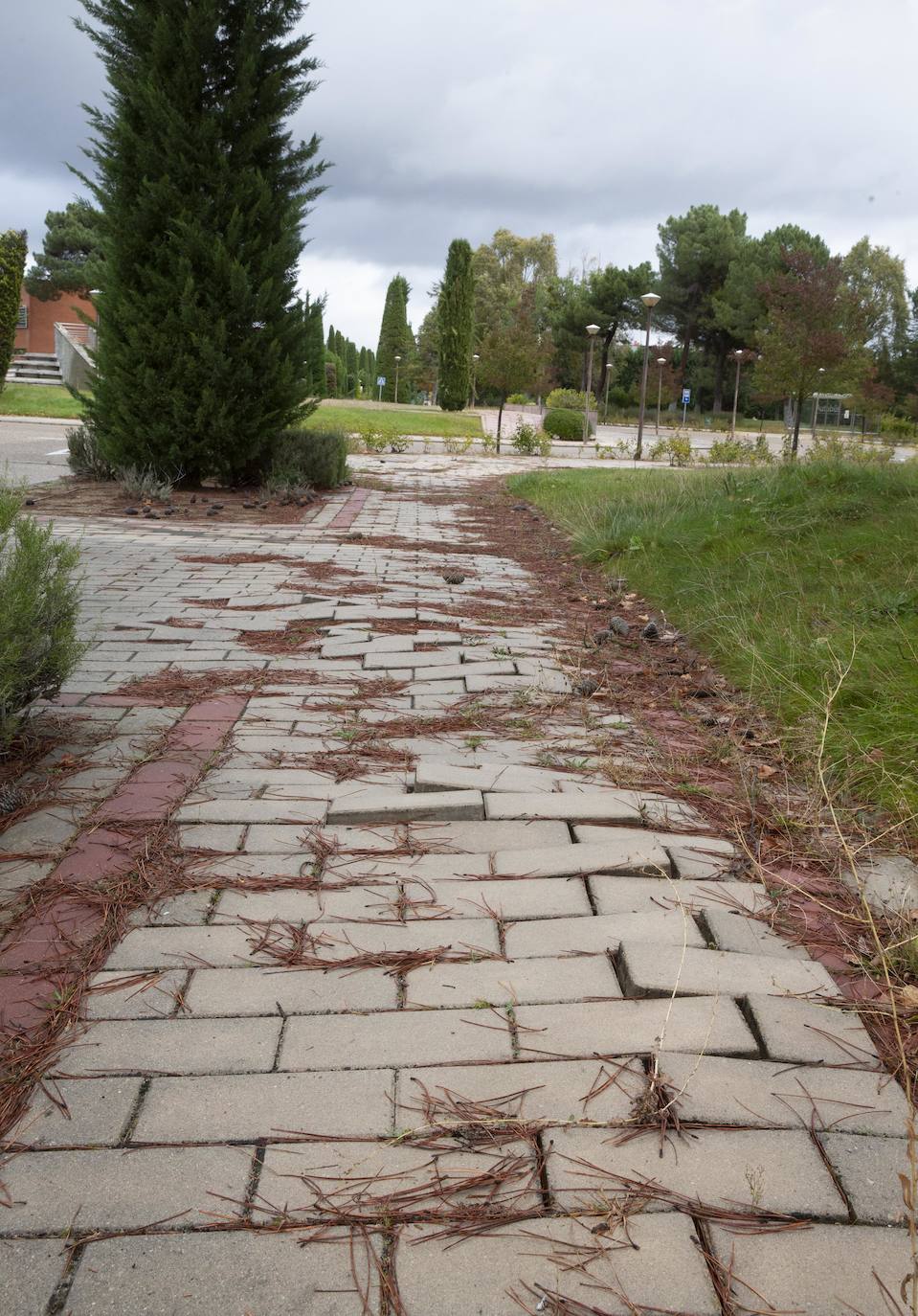 Falta de mantenimiento en el Parque Tecnológico de Boecillo