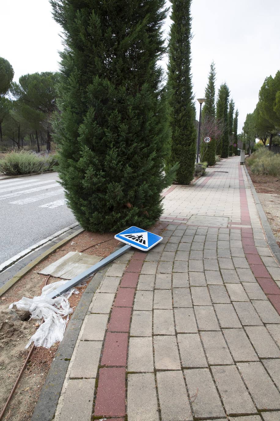 Falta de mantenimiento en el Parque Tecnológico de Boecillo