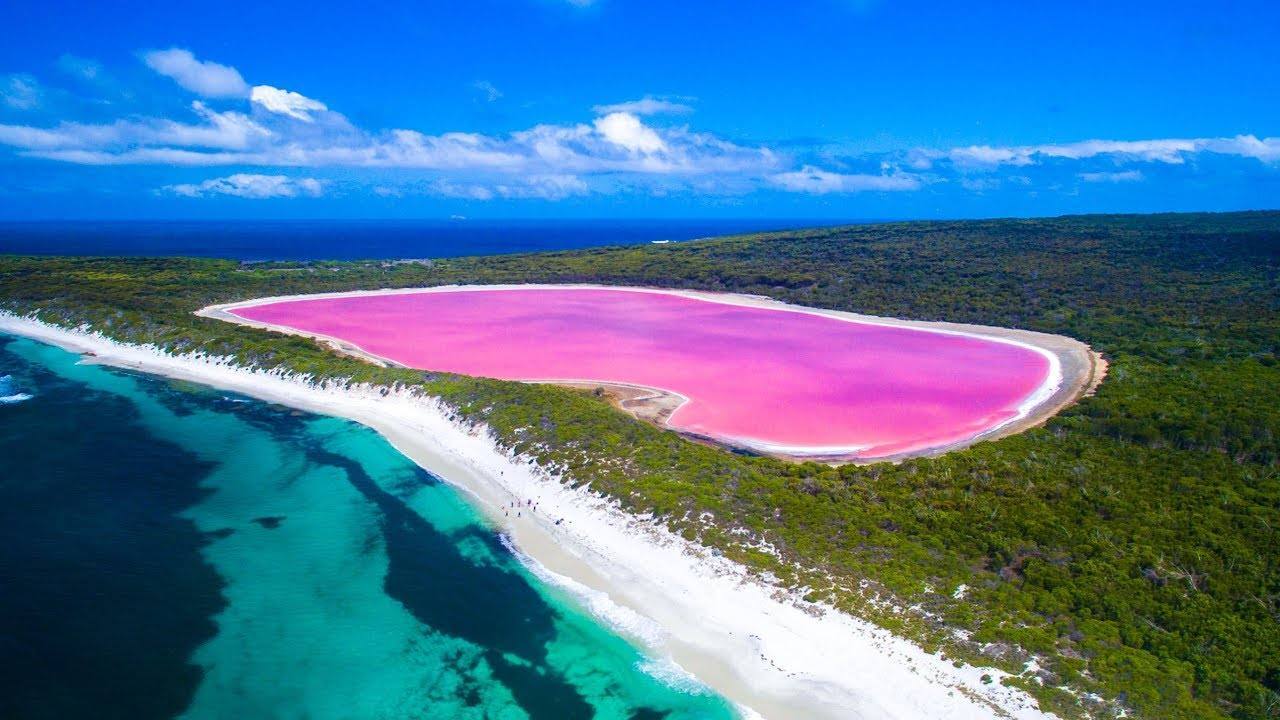 Lago Hillier (Australia) | Su color rosa es permanente y no cambia ni aunque metas el agua en un recipiente. Aunque no se sabe con certeza a qué se debe, se baraja que pueda ser por algún tipo de bacterias en su composición.