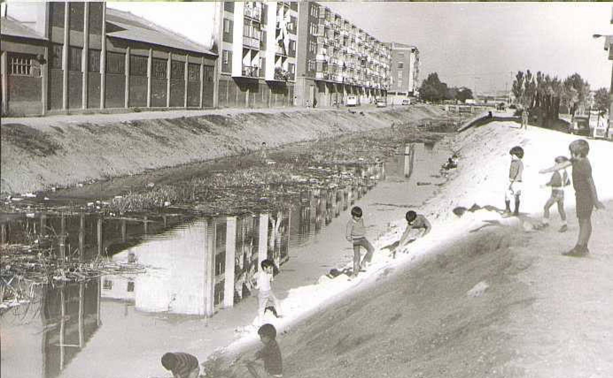 Un grupo de niños se baña en el Esgueva, en el año 1975. 