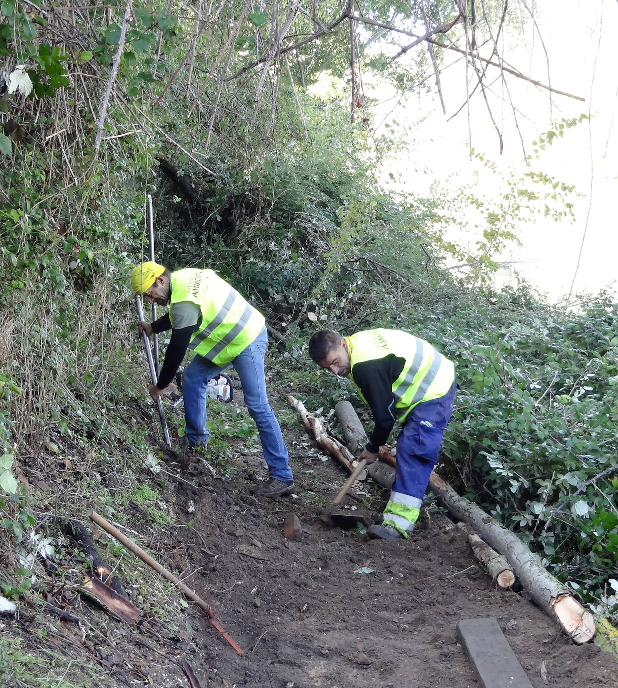 Limpieza de la senda del Pisuerga. 