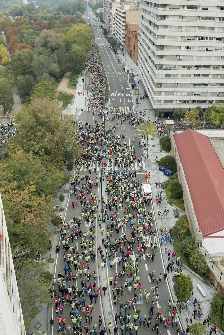 Participantes de la marcha contra el cáncer. 