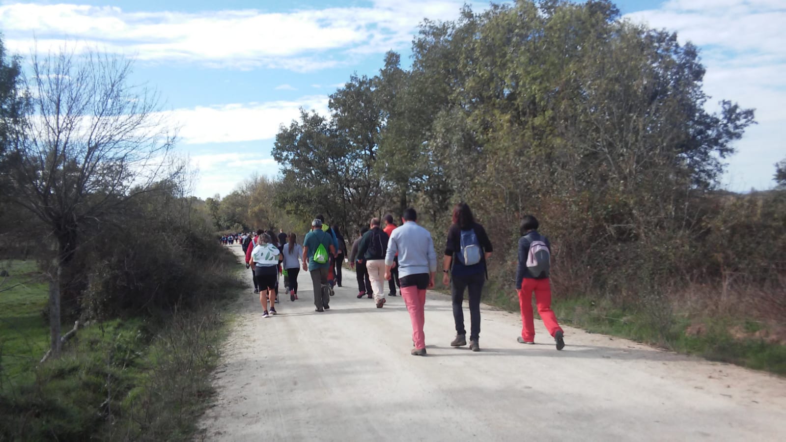 Fotos: Marcha solidaria en Los Santos