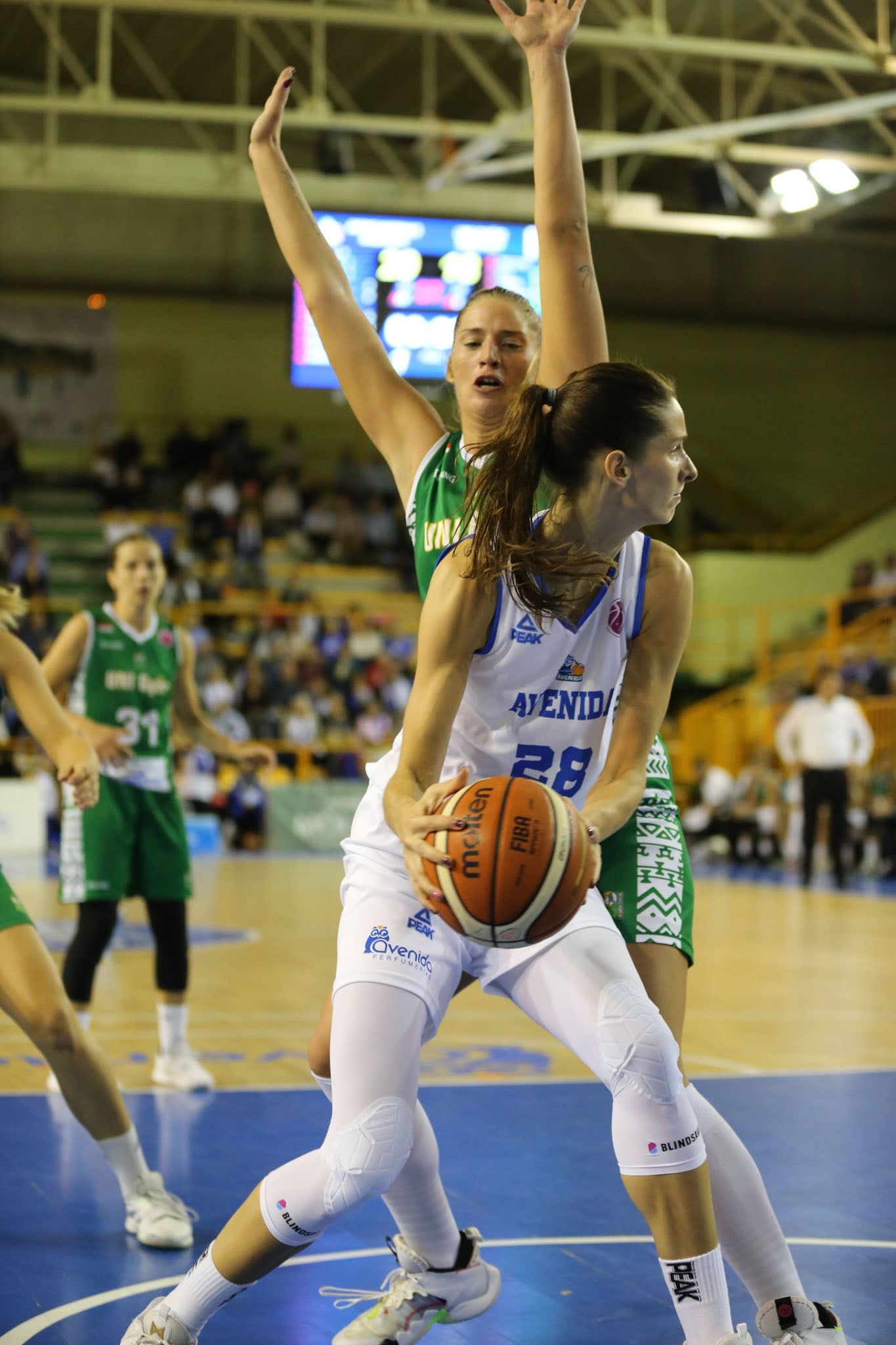 Fotos: Partido del CB Avenida ante el Uni Gyor Mely-Ut húngaro