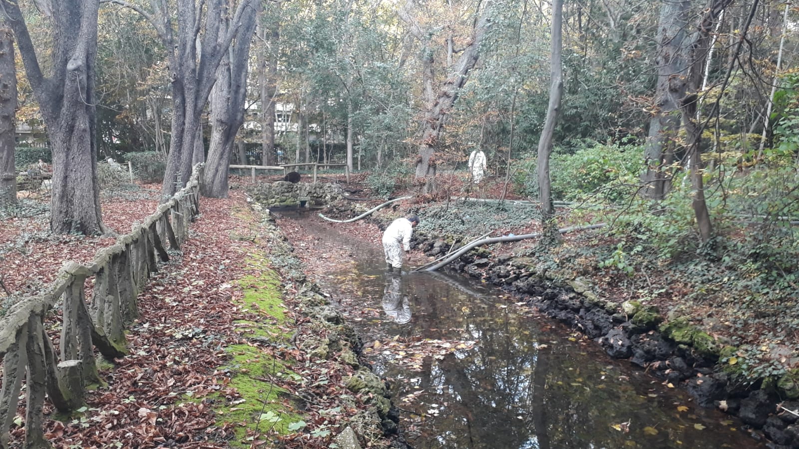 Los operarios vacían el canal, una vez despejado el estanque, ante la curiosa mirada de familias y paseantes y el apiñamiento de los habitantes acuáticos del parque.