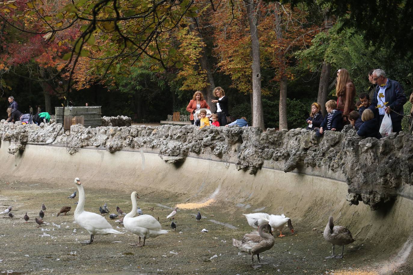 Los operarios vacían el canal, una vez despejado el estanque, ante la curiosa mirada de familias y paseantes y el apiñamiento de los habitantes acuáticos del parque.