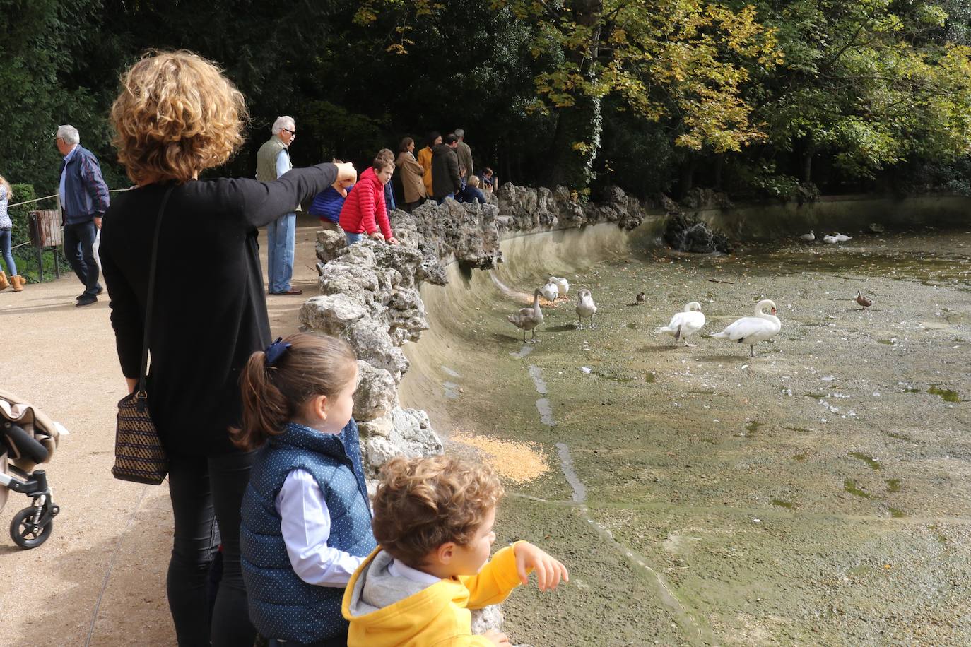 Los operarios vacían el canal, una vez despejado el estanque, ante la curiosa mirada de familias y paseantes y el apiñamiento de los habitantes acuáticos del parque.