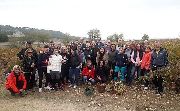Imagen principal - Enoturísticas que participron en la rebusca de uvas en Mucientes. 
