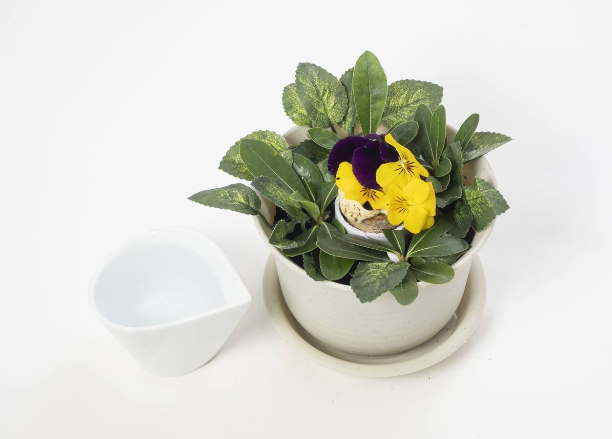 Restaurante Atrio, de Cáceres.