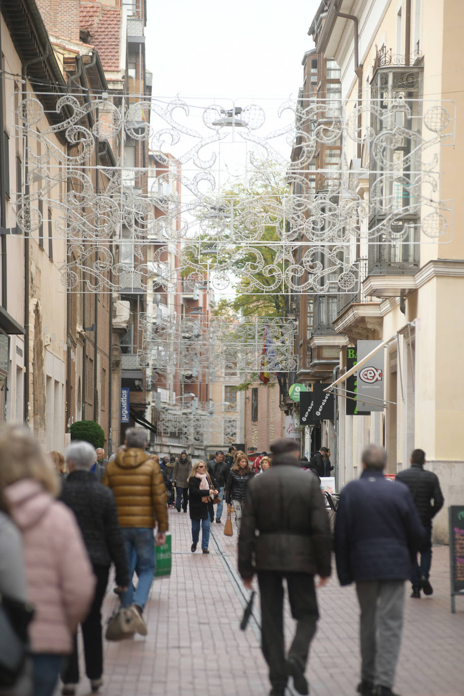 El Ayuntamiento de Valladolid ha colocado el árbol de Navidad en la Plaza Mayor y luces navideñas en las calles del centro.