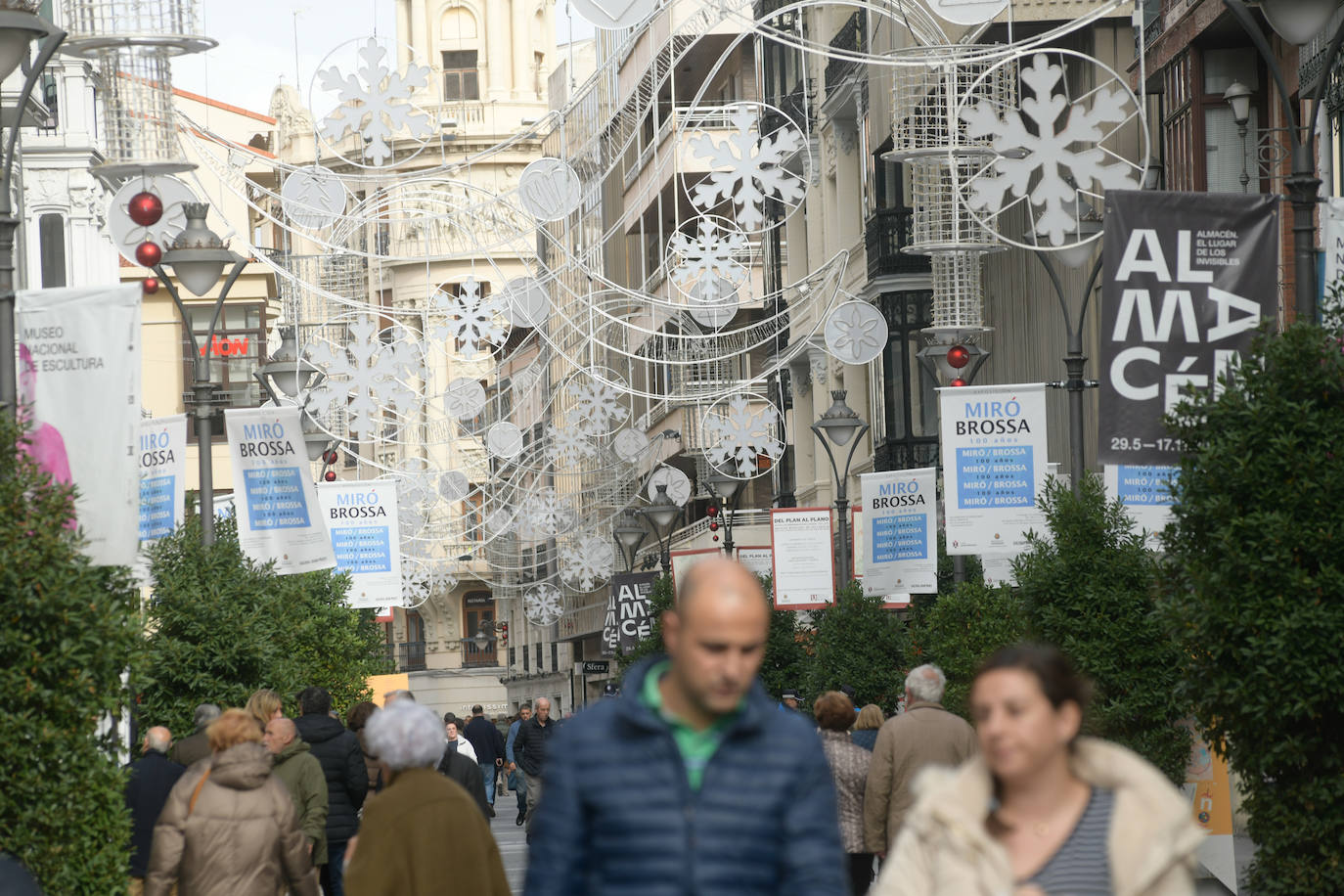 El Ayuntamiento de Valladolid ha colocado el árbol de Navidad en la Plaza Mayor y luces navideñas en las calles del centro.