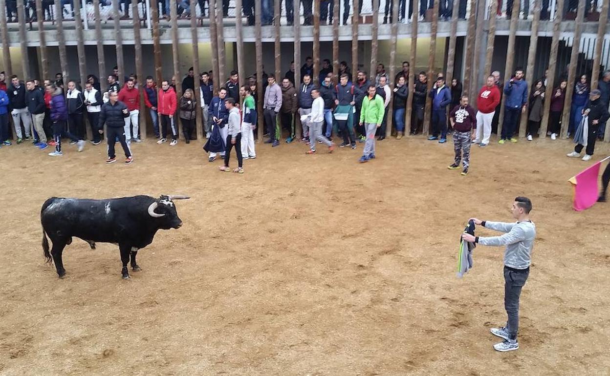 Fiestas de San Martín de Traspinedo, en años anteriores. 