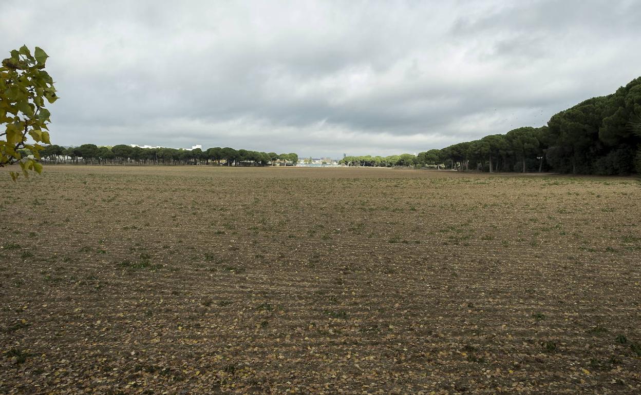 Terrenos del Pinar de Jalón que el Ayuntamiento cedería al Real Valladolid para la Ciudad Deportiva. 