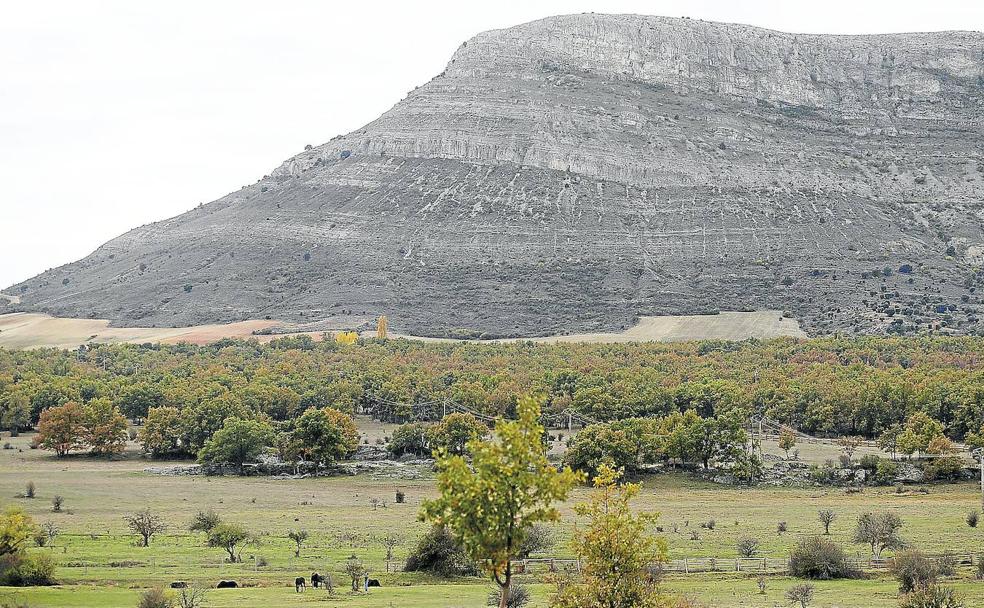 El Valonsadero, recurso y lugar de esparcimiento de los sorianos. 