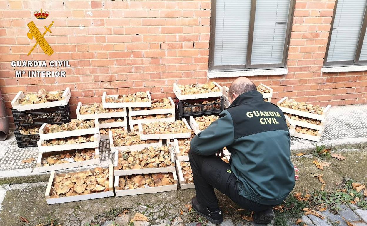 Las 18 cajas requisadas, que fueron posteriormente destruídas. 