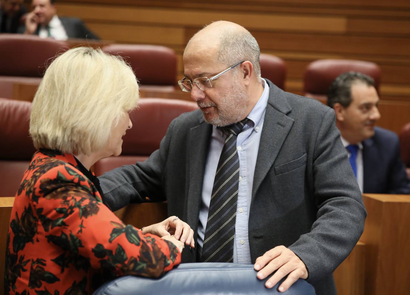 Pleno de las Cortes de Castilla y León. 