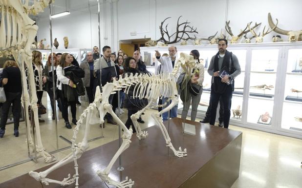 Imagen principal - Los alumnos visitaron el museo, que tiene 8.500 especímenes.