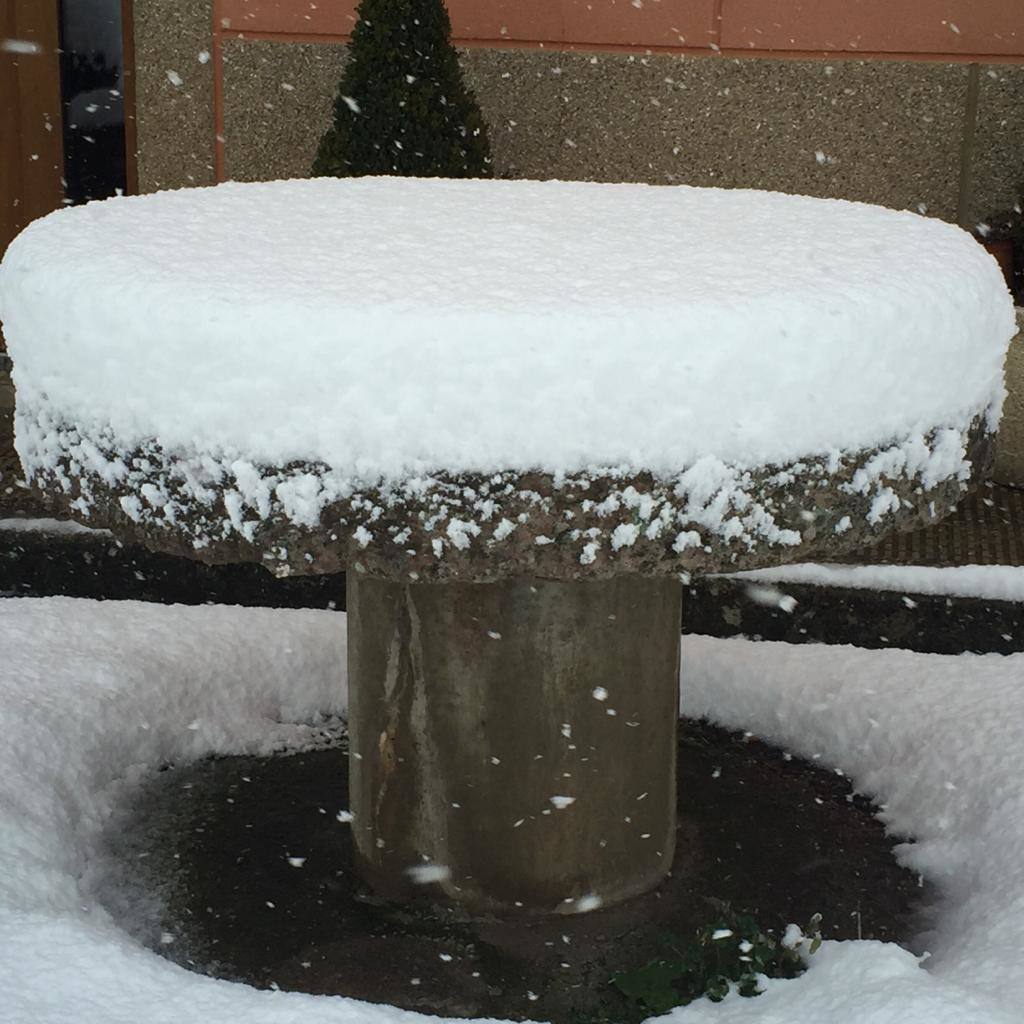 Nieve en la Montaña Palentina.