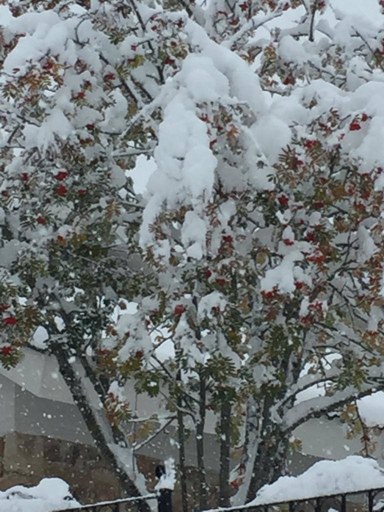 Nieve en la Montaña Palentina.