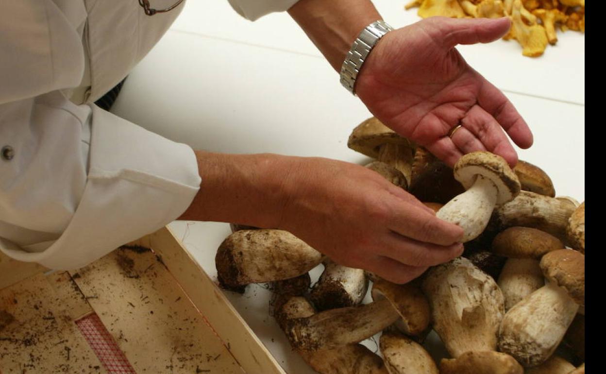 Un cocinero se dispone a preparar un plato con setas. 