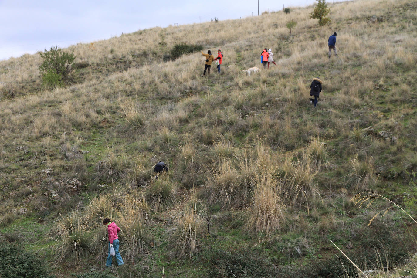 Fotos: Gran Bellotada Ibérica en Segovia