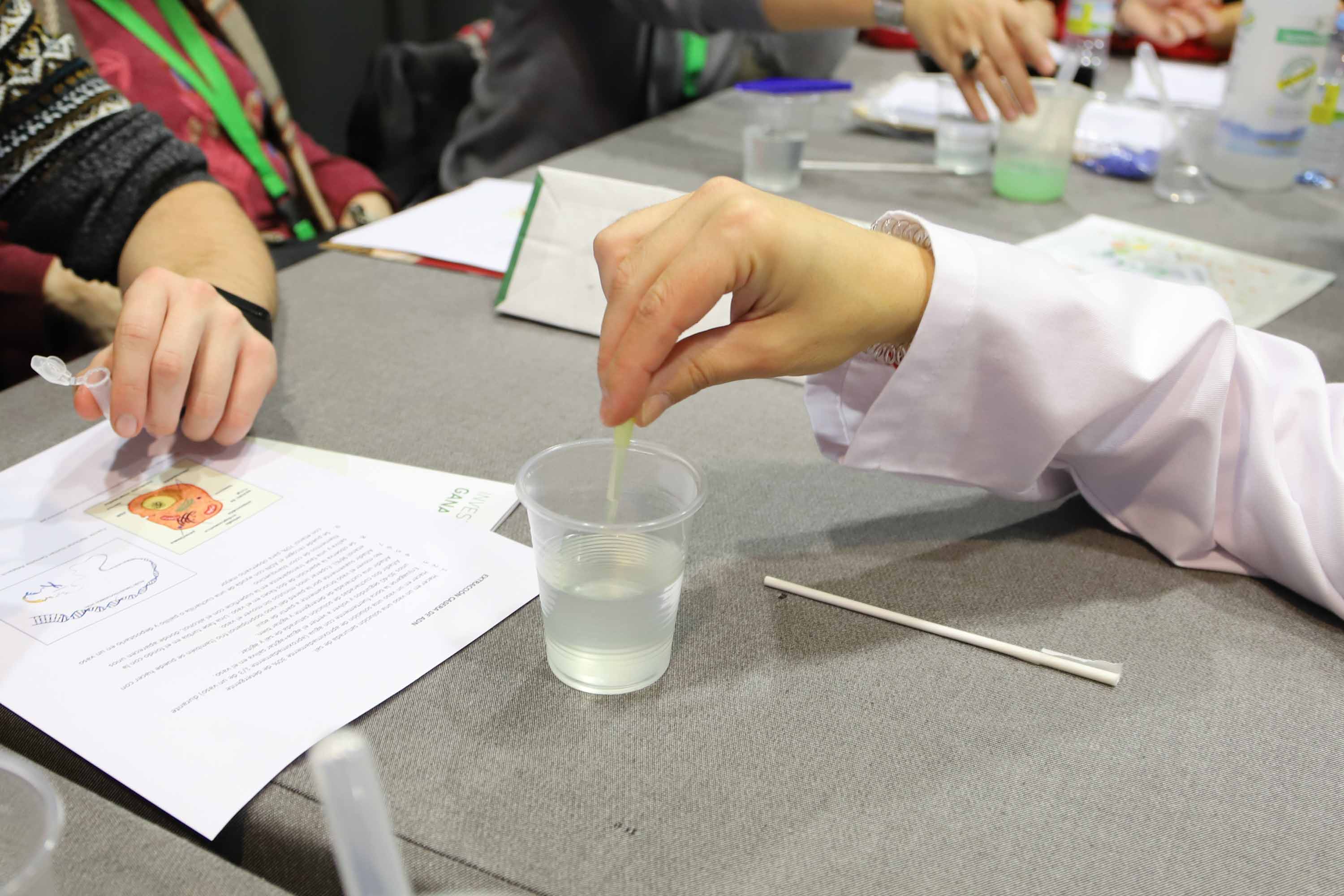 Talleres y conferencias del Congreso del Cancer. 