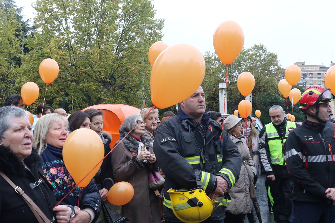 Día Mundial en Recuerdo de las Víctimas por Accidentes de tráfico en Valladolid. 