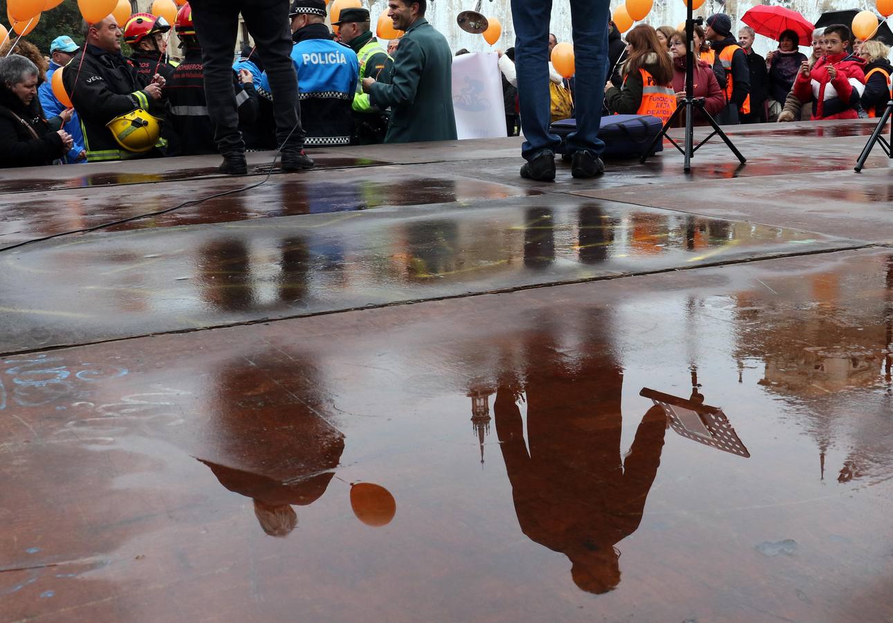 Día Mundial en Recuerdo de las Víctimas por Accidentes de tráfico en Valladolid. 