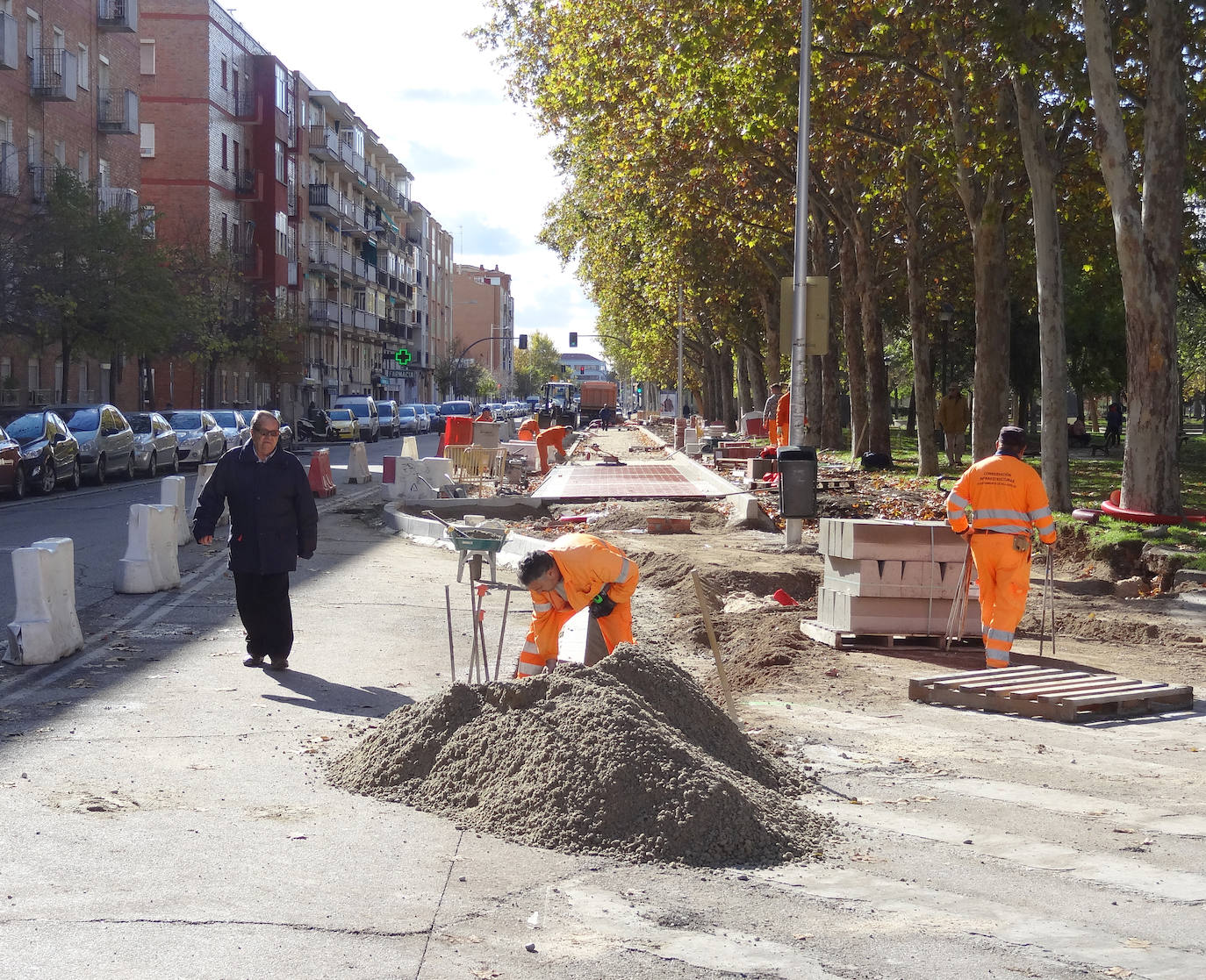 Reforma de la calle Arca Real y del Parque de la Paz. 